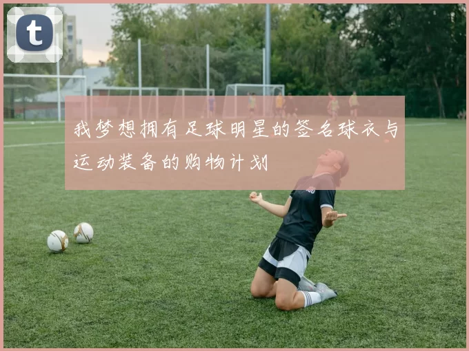我梦想拥有足球明星的签名球衣与运动装备的购物计划