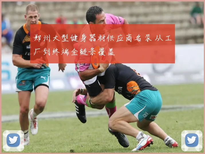 郑州大型健身器材供应商名录 从工厂到终端全链条覆盖