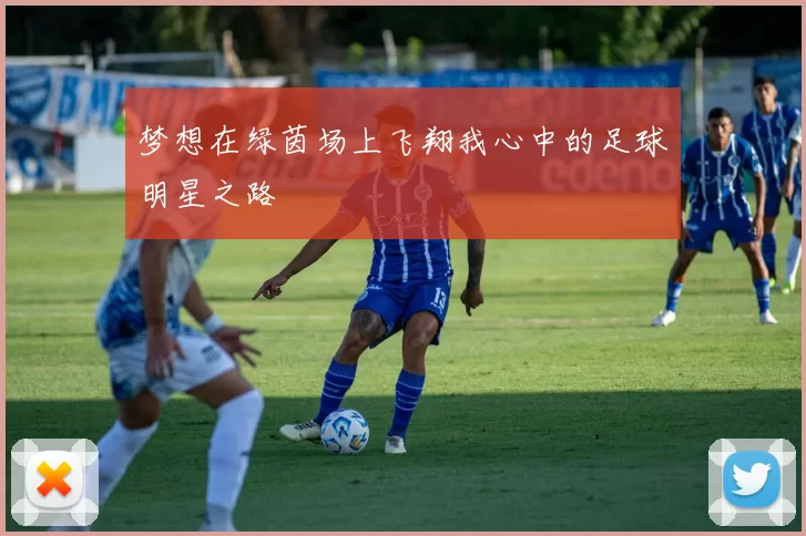 梦想在绿茵场上飞翔我心中的足球明星之路