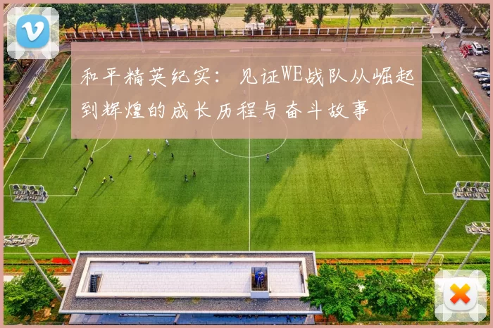 和平精英纪实：见证WE战队从崛起到辉煌的成长历程与奋斗故事