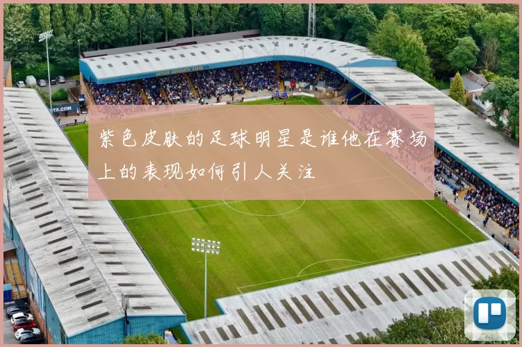 紫色皮肤的足球明星是谁他在赛场上的表现如何引人关注