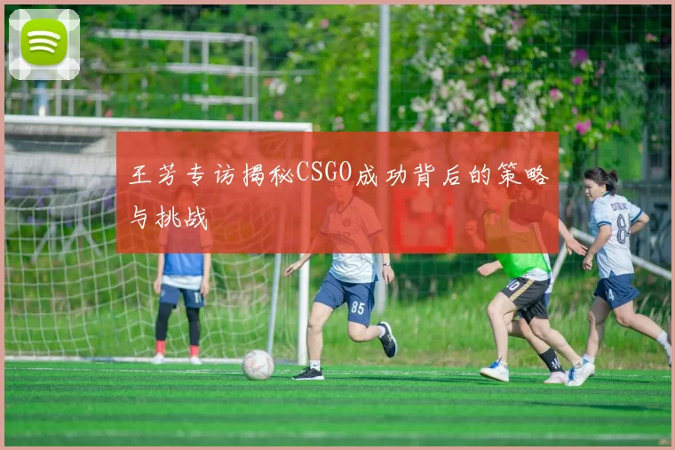 王芳专访揭秘CSGO成功背后的策略与挑战
