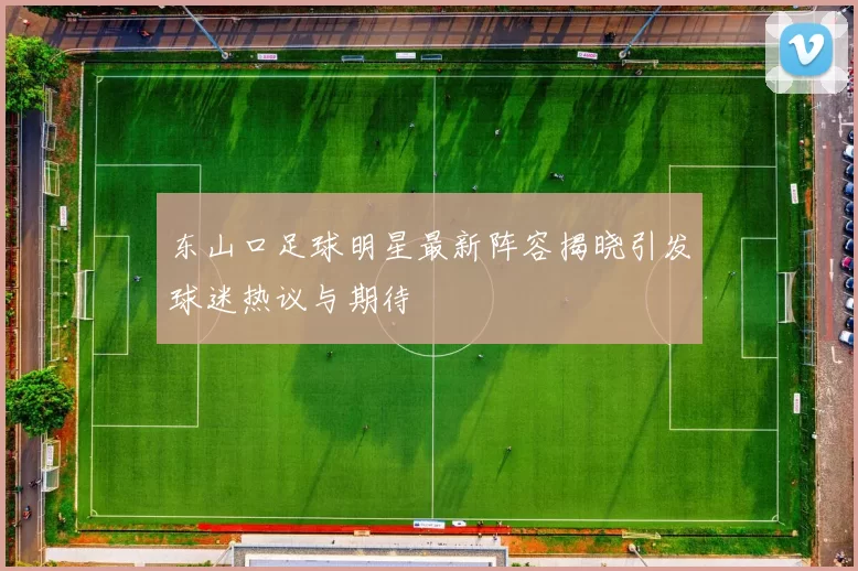 东山口足球明星最新阵容揭晓引发球迷热议与期待