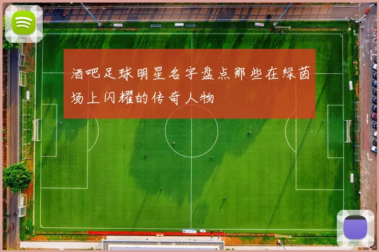 酒吧足球明星名字盘点那些在绿茵场上闪耀的传奇人物