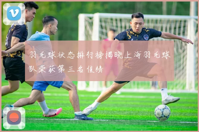 羽毛球状态排行榜揭晓上海羽毛球队荣获第三名佳绩