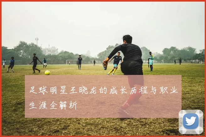 足球明星王晓龙的成长历程与职业生涯全解析