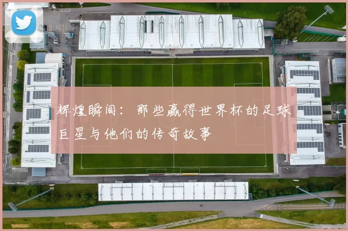辉煌瞬间：那些赢得世界杯的足球巨星与他们的传奇故事