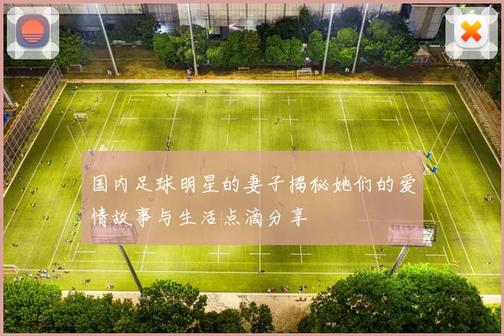 国内足球明星的妻子揭秘她们的爱情故事与生活点滴分享