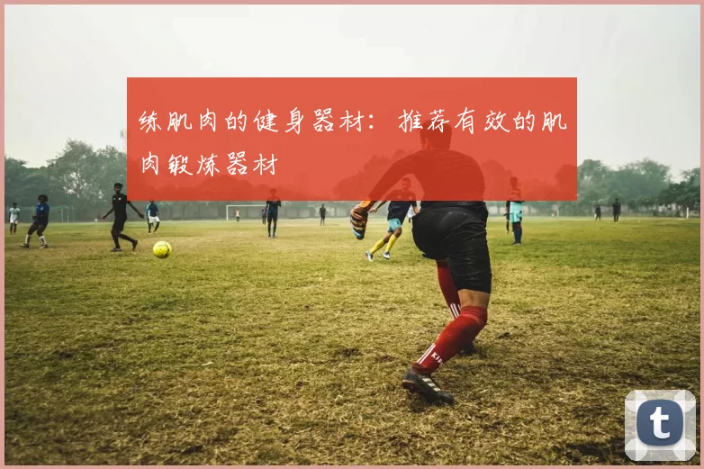 练肌肉的健身器材：推荐有效的肌肉锻炼器材