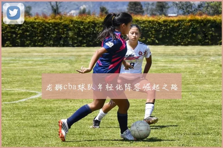 龙狮cba球队年轻化阵容崛起之路