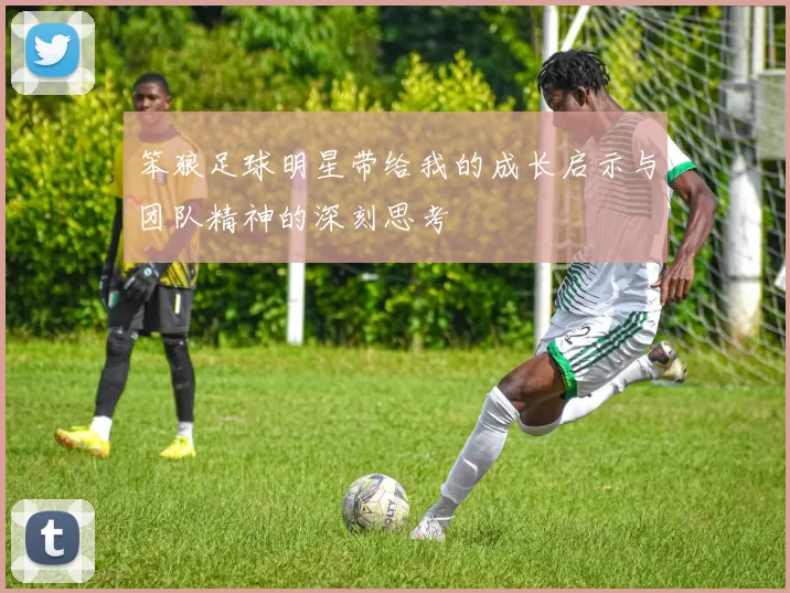 笨狼足球明星带给我的成长启示与团队精神的深刻思考