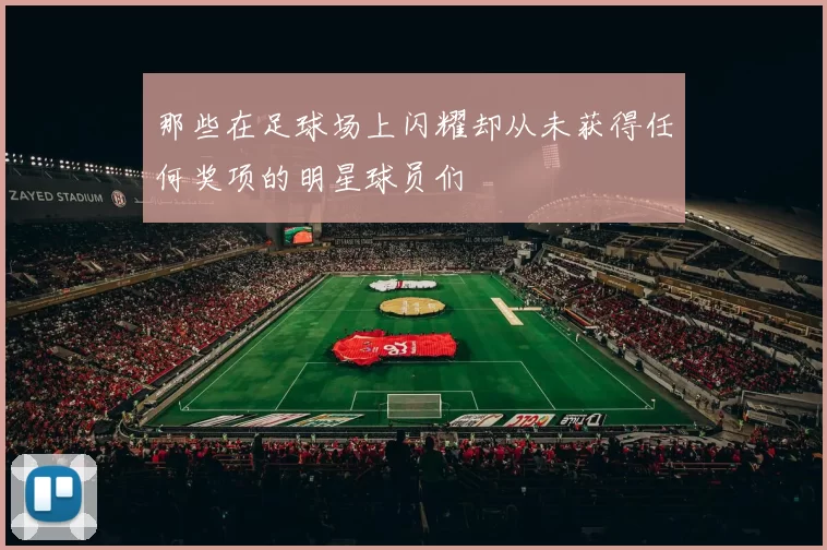 那些在足球场上闪耀却从未获得任何奖项的明星球员们