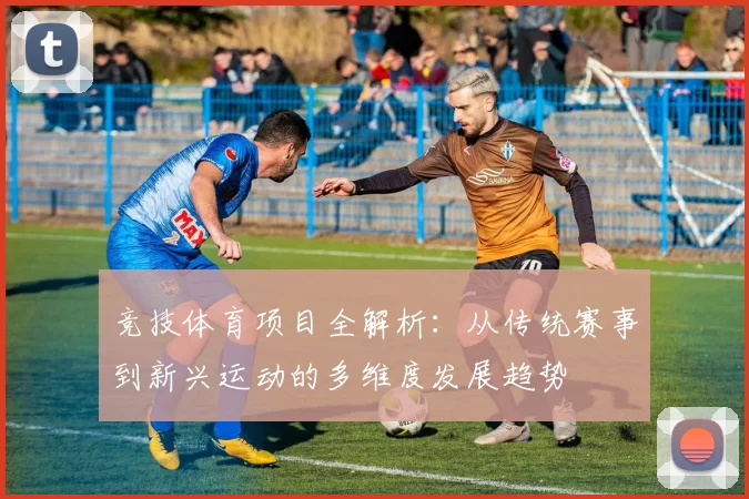 竞技体育项目全解析：从传统赛事到新兴运动的多维度发展趋势