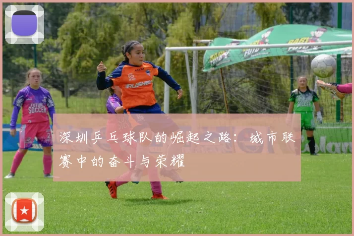 深圳乒乓球队的崛起之路：城市联赛中的奋斗与荣耀